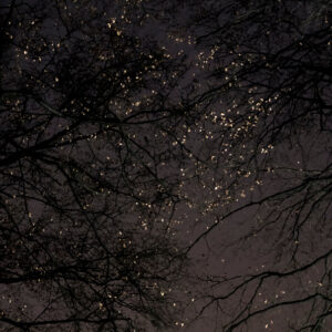 under a nameless moon I, photograph by Sarah Janssen